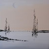 Follow the moon